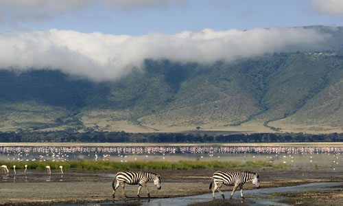 ngorongoro national park