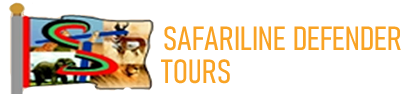 default-logo