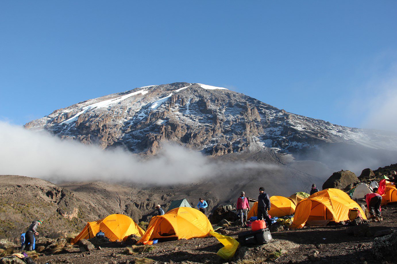 7 Days Mt Kilimanjaro Climbing - Shira route