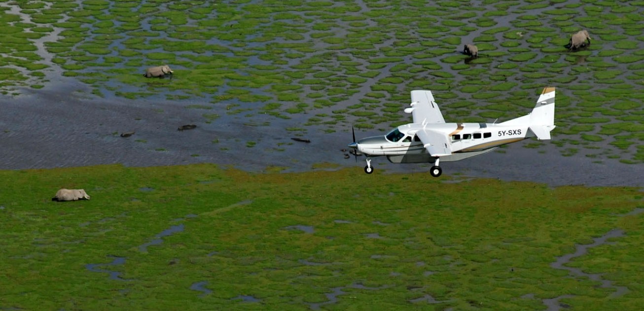 3 Days Amboseli National Park Flying Safari