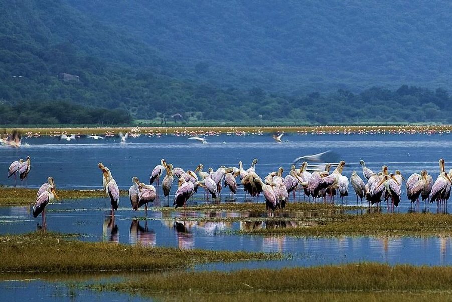 3 Days  Lake Manyara & Ngorongoro Crater Tanzania Safari