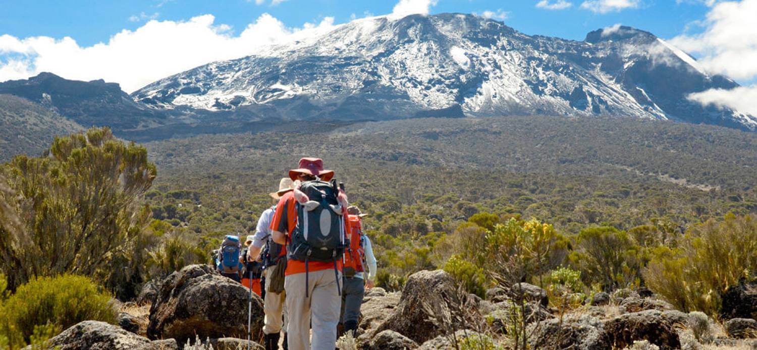 6 Days Mt Kilimanjaro Climbing - Lemosho Route