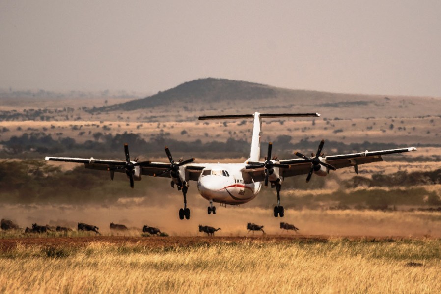 2 Days Masai Mara National Reserve Flying Safari