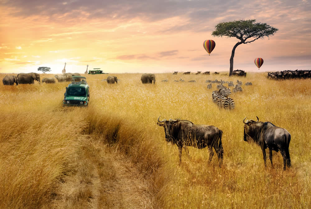 12 Nights Kenya Safari & Beach Holiday