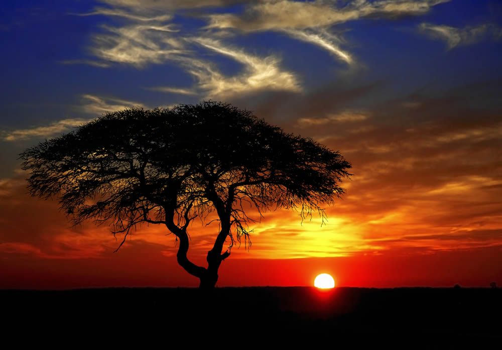 7 Days Kenya Bush Honeymoon: Masai Mara, Lake Nakuru, Naivasha & Nairobi