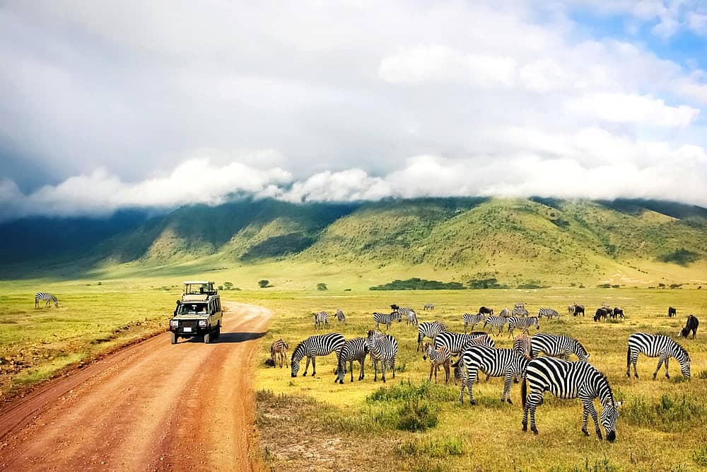 7 Days Lake Manyara, Ngorongoro, Serengeti & Tarangire Lodge Safaris