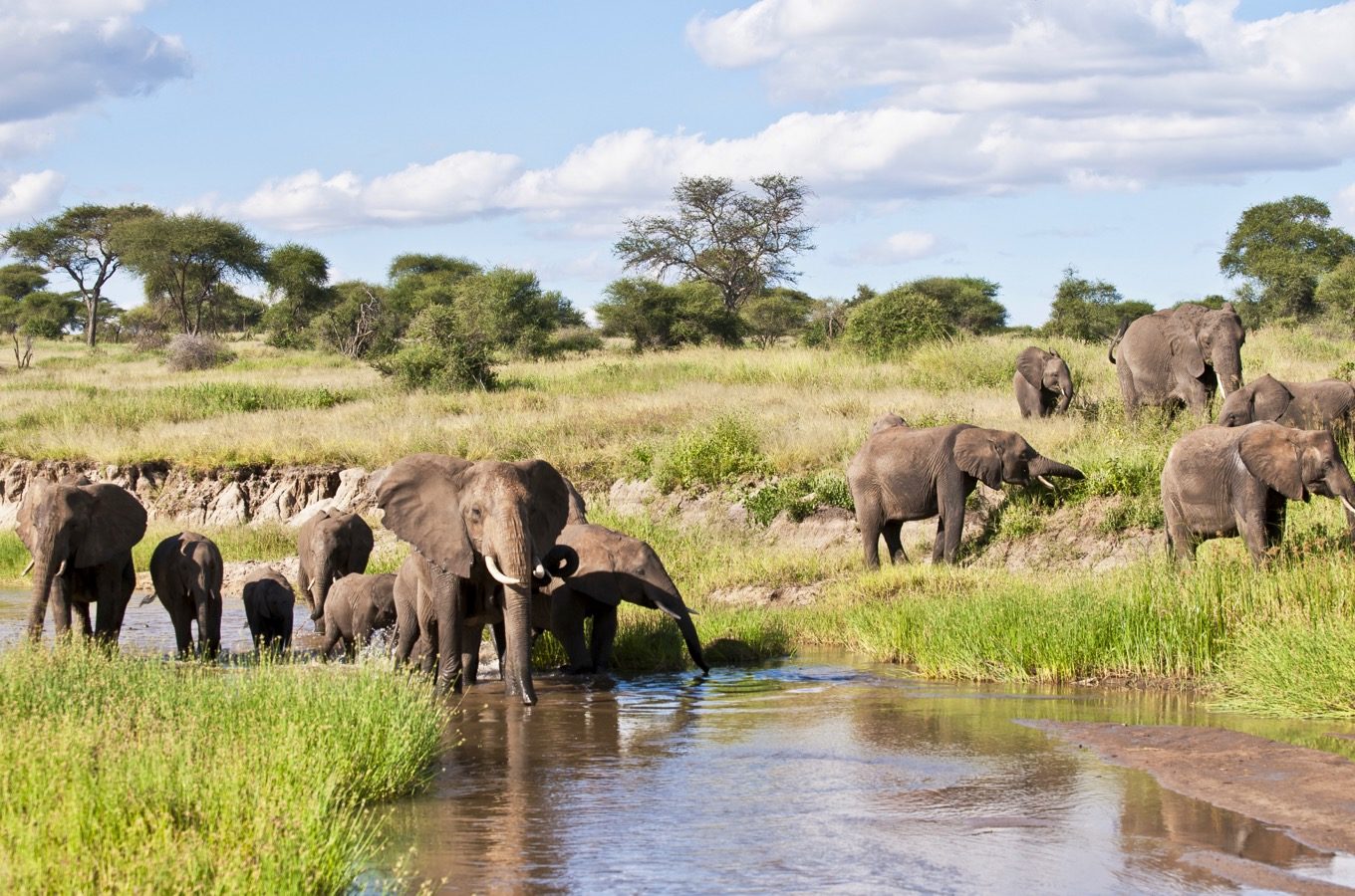 4 Days Tanzania Big Five Safari: Lake Manyara, Ngorongoro & Tarangire