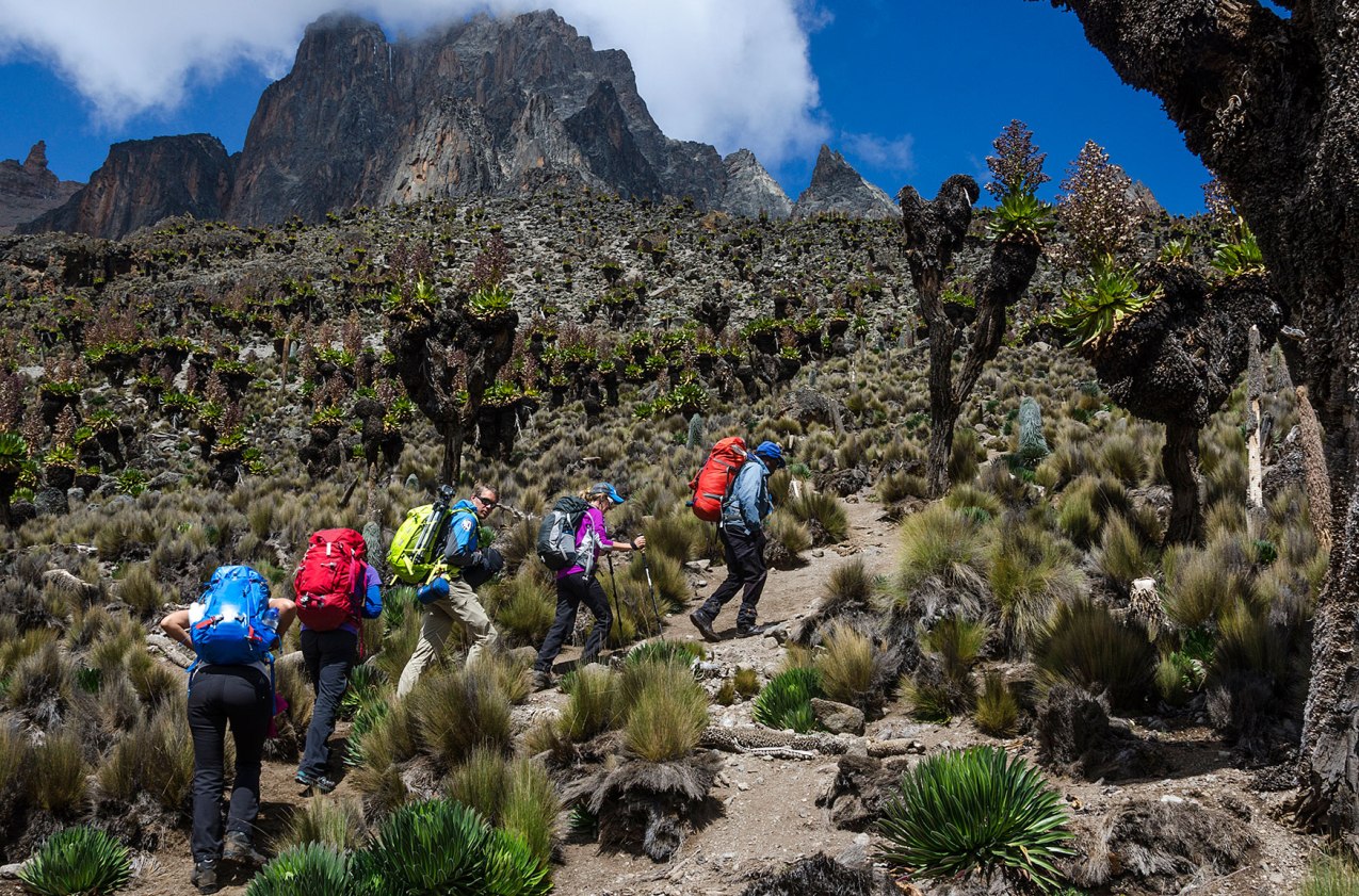 4 Days Mt Kenya Hiking & Trekking: Sirimon - Chogoria Route