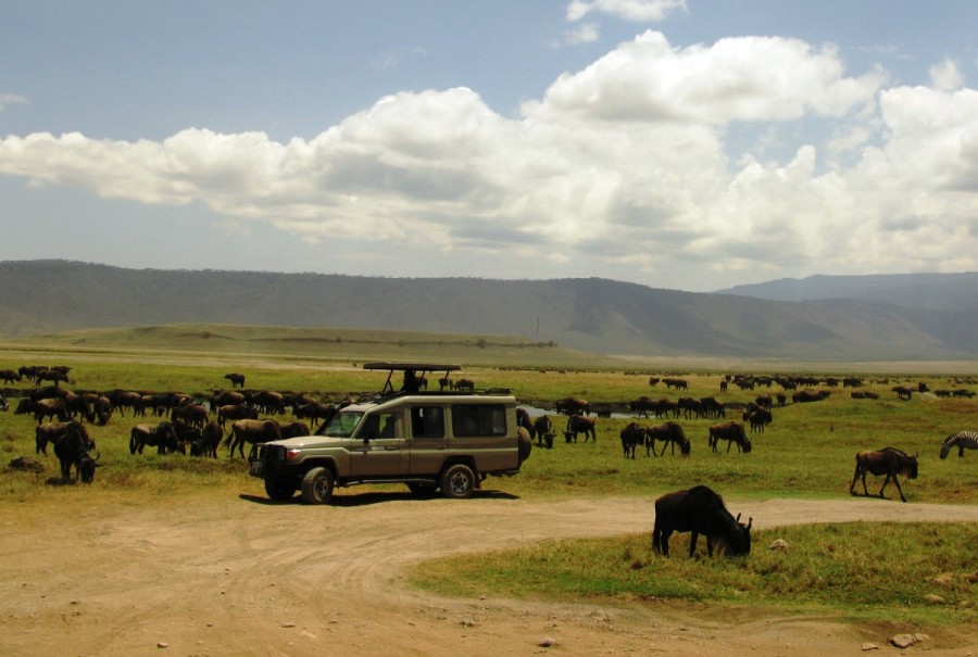 8 Days Masai Mara, Ngorongoro Crater & Serengeti Safari